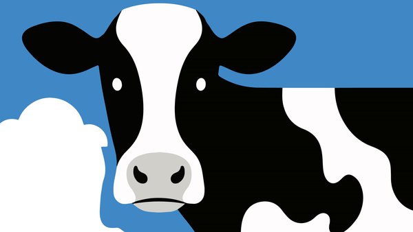 Consulta el catálogo completo de animales que se subastarán mañana en Friol