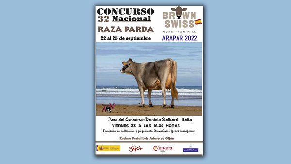 Xixón acolle o Concurso Nacional de Raza Parda o último fin de semana de setembro