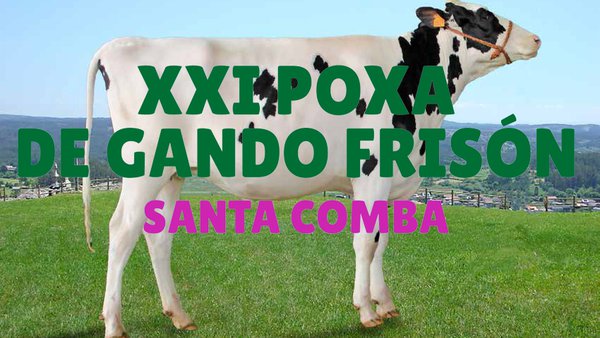 Este domingo, nueva edición de la subasta de Santa Comba