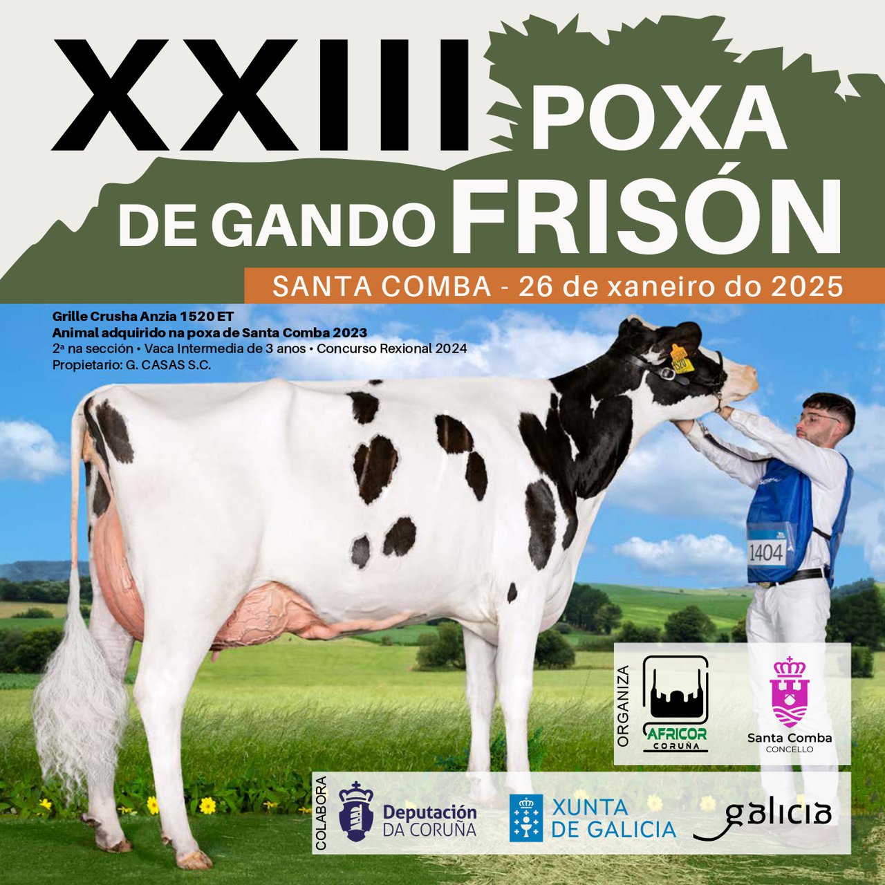 Diecinueve ejemplares se subastarán este domingo en Santa Comba