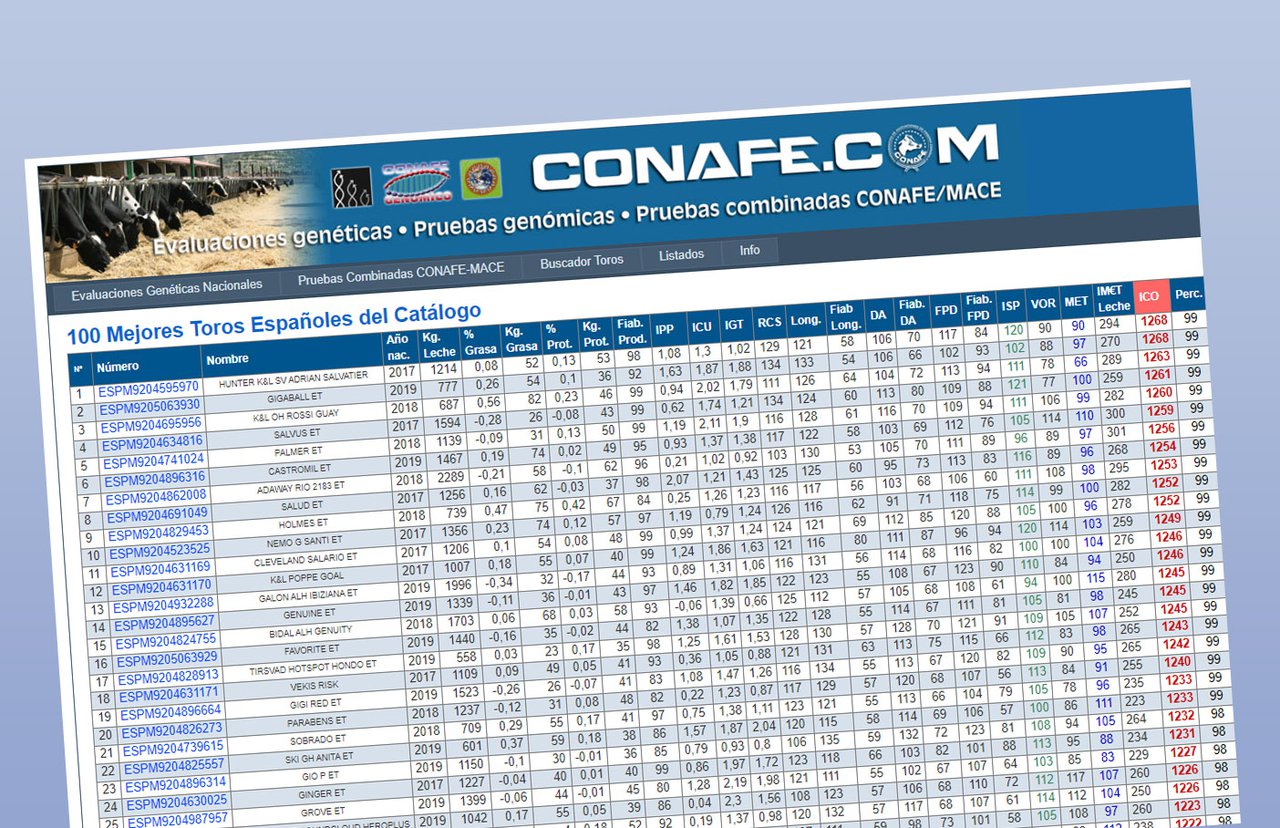 Xa está dispoñible o top 100 dos mellores sementais españois por ICO