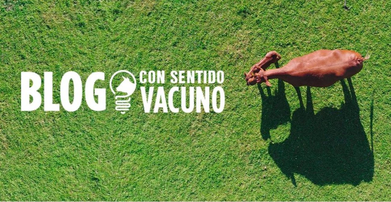 “Con Sentido Vacuno”, o novo blogue sobre o sector de Zoetis