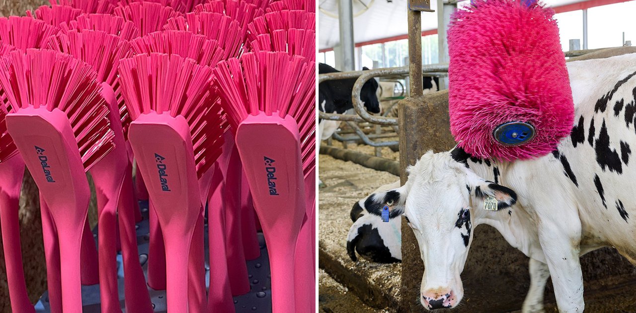 Desde DeLaval España y Portugal continúan apoyando la lucha contra el cáncer de mama