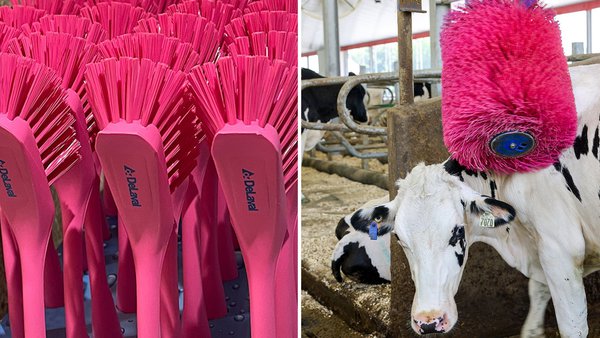 Desde DeLaval España y Portugal continúan apoyando la lucha contra el cáncer de mama
