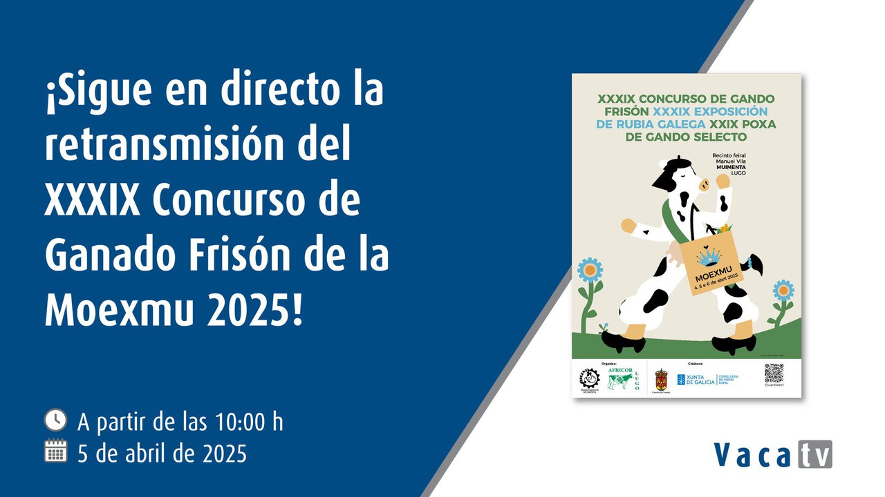 Vaca Pinta emite en directo este sábado el Concurso de Ganado Frisón de la Moexmu 2025
