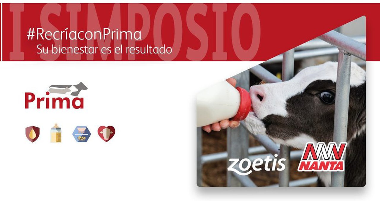 El I Simposio Recría con Prima se retransmitirá mañana en directo