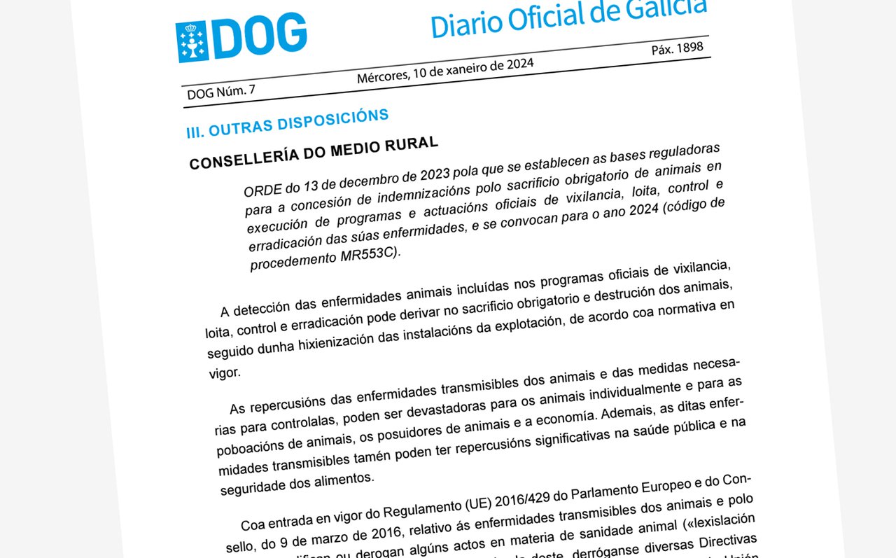 Anunciadas indemnizaciones en Galicia por el sacrificio obligatorio de ganado por dolencias entre las que se encuentra la EHE
