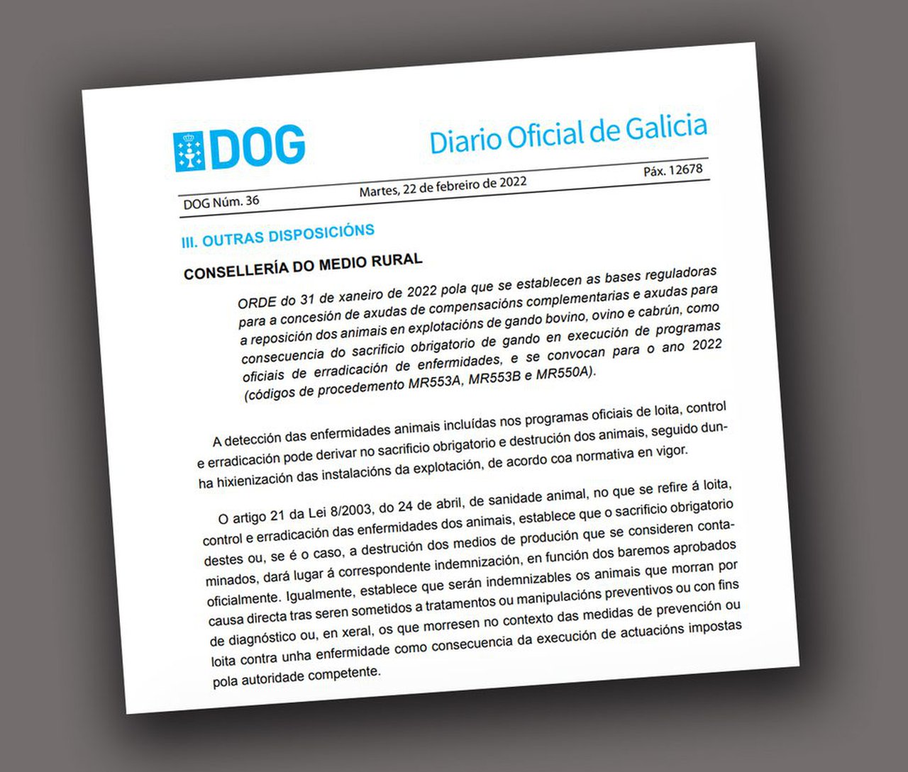 La Xunta convoca ayudas para la reposición de animales por el sacrificio obligatorio de ganado