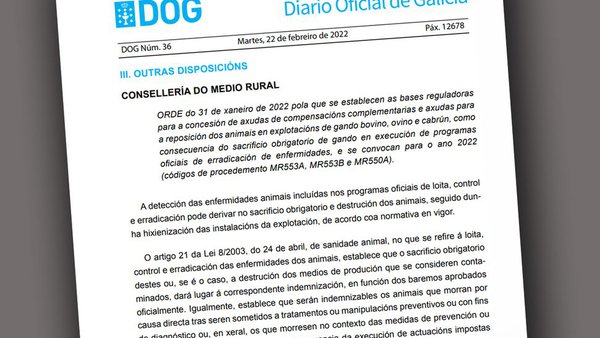 La Xunta convoca ayudas para la reposición de animales por el sacrificio obligatorio de ganado