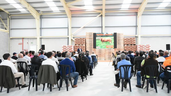 Inaugurada en Silleda a nova fábrica de Nudesa