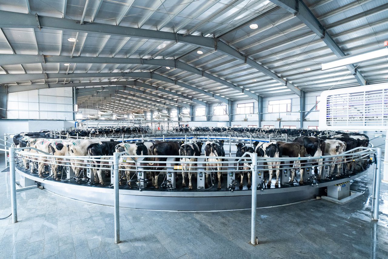 DeLaval lanza a rotativa E500, o seu modelo máis revolucionario