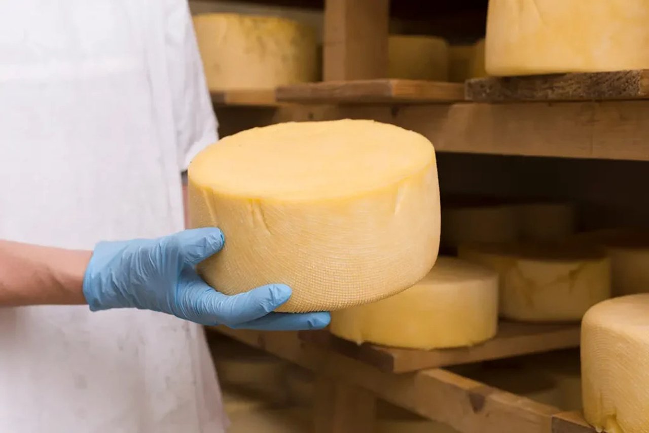 Eilza promueve dos certificados de profesionalidad para la elaboración de productos lácteos