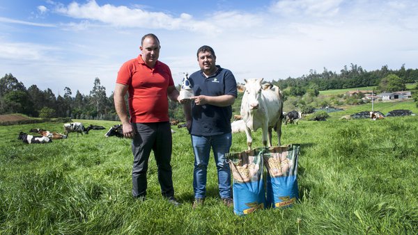 Ganadería Fandiño Rial SC recibe o premio do concurso "Outra Vaca no Millo"
