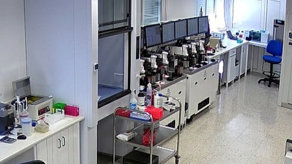 Xenética Fontao producirá entre 30.000 y 40.000 dosis de semen sexado a lo largo de este año