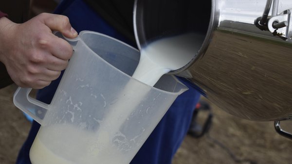 La leche, gran aliada para hidratarse en épocas estivales