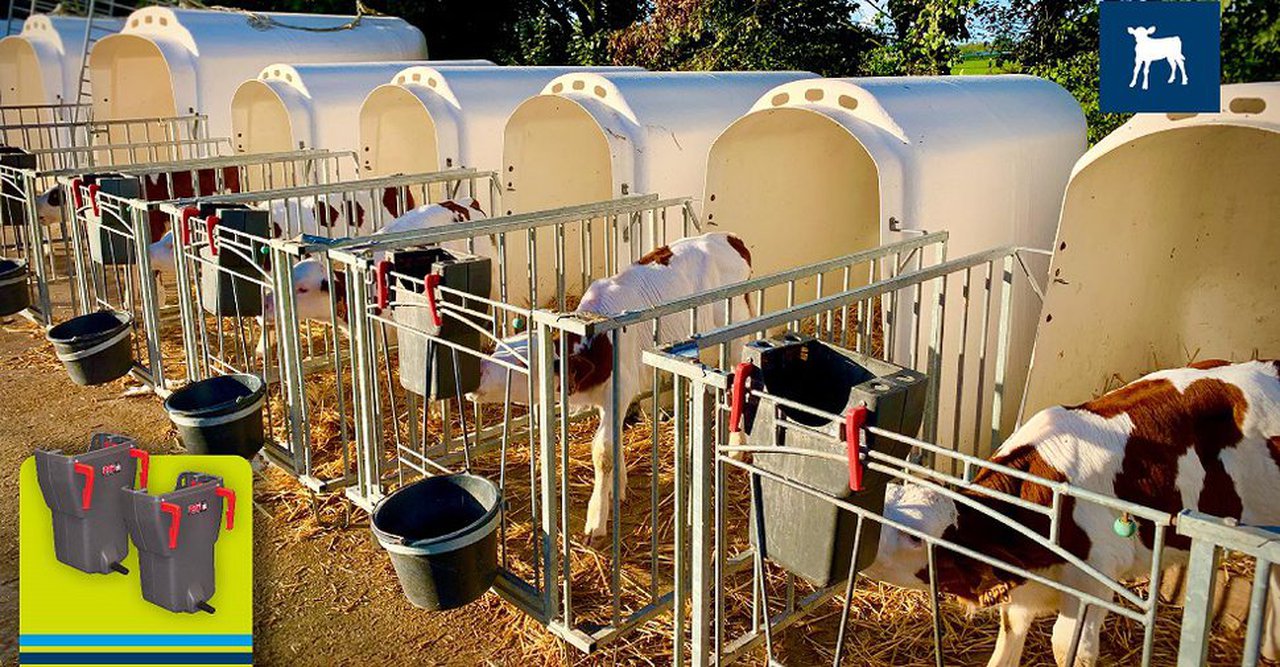 Estes son os gañadores dos 5 lotes de cubos con tetina para xatos!