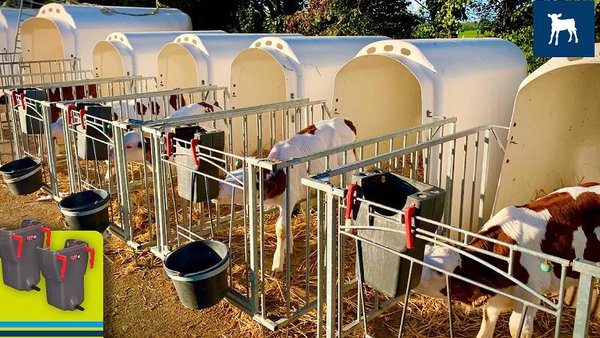 Estes son os gañadores dos 5 lotes de cubos con tetina para xatos!