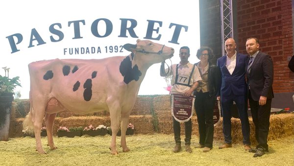 El Campgran triunfa en el certamen frisón de Cataluña de 2025