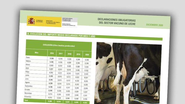 O prezo medio do leite aumenta en 2020 a pesar da pandemia