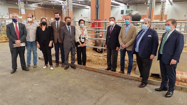 Luis Planas anuncia la consulta pública de la primera norma de ordenación de las granjas de ganado vacuno en España