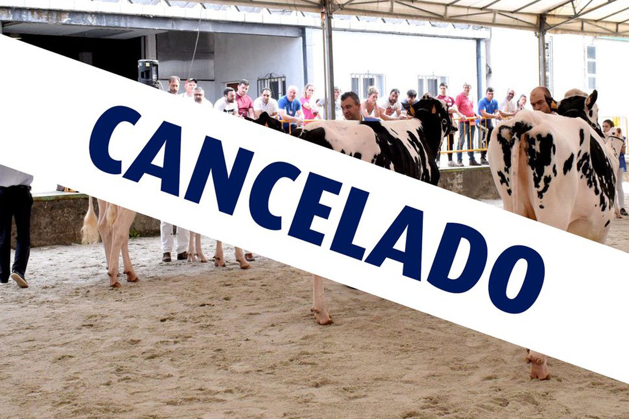 Suspendida a celebración de Feiradeza