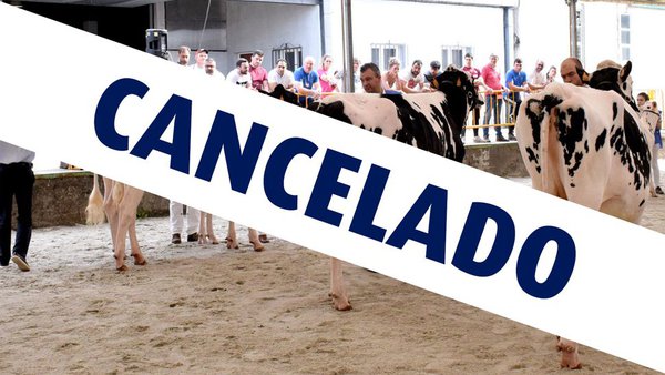 Suspendida a celebración de Feiradeza