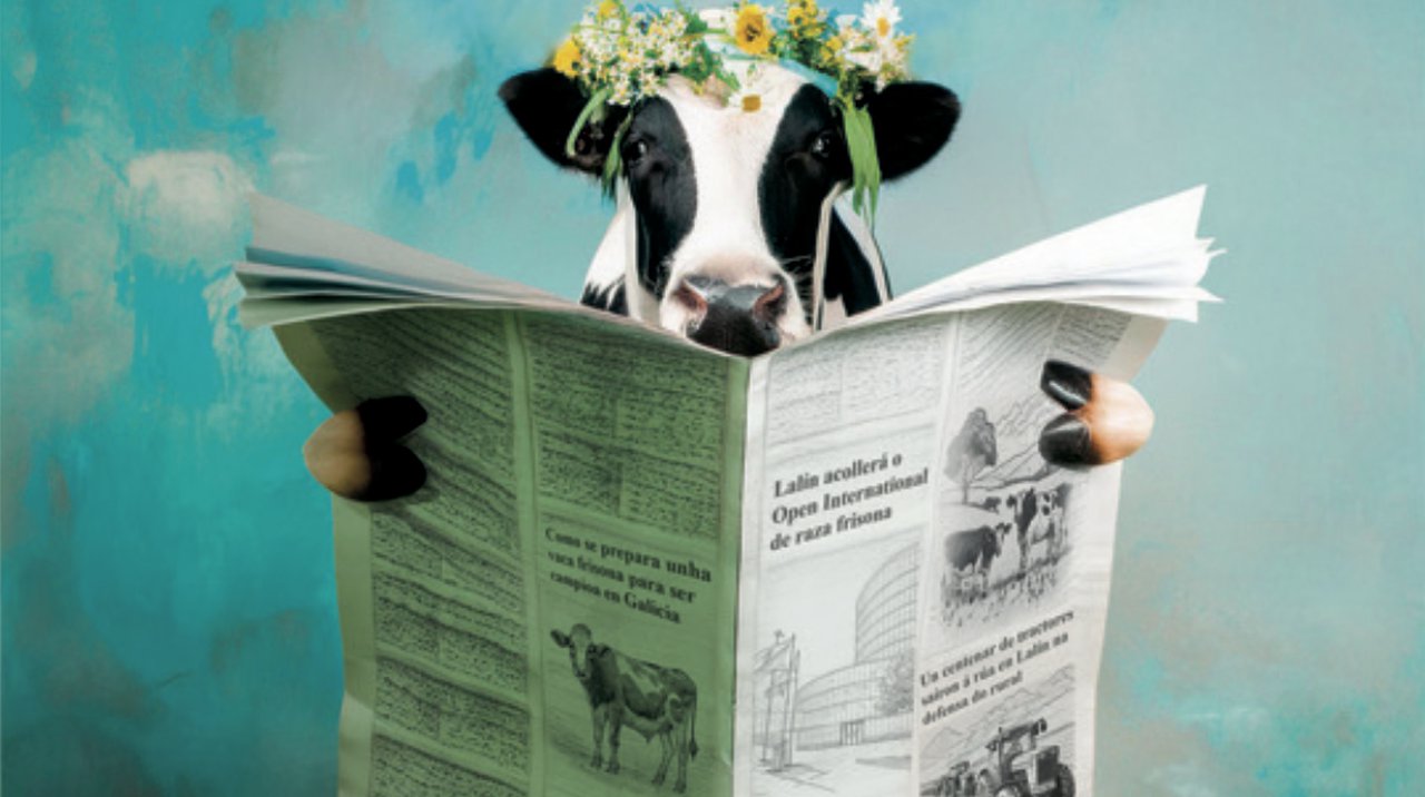 Programación da 39 edición de Feiradeza