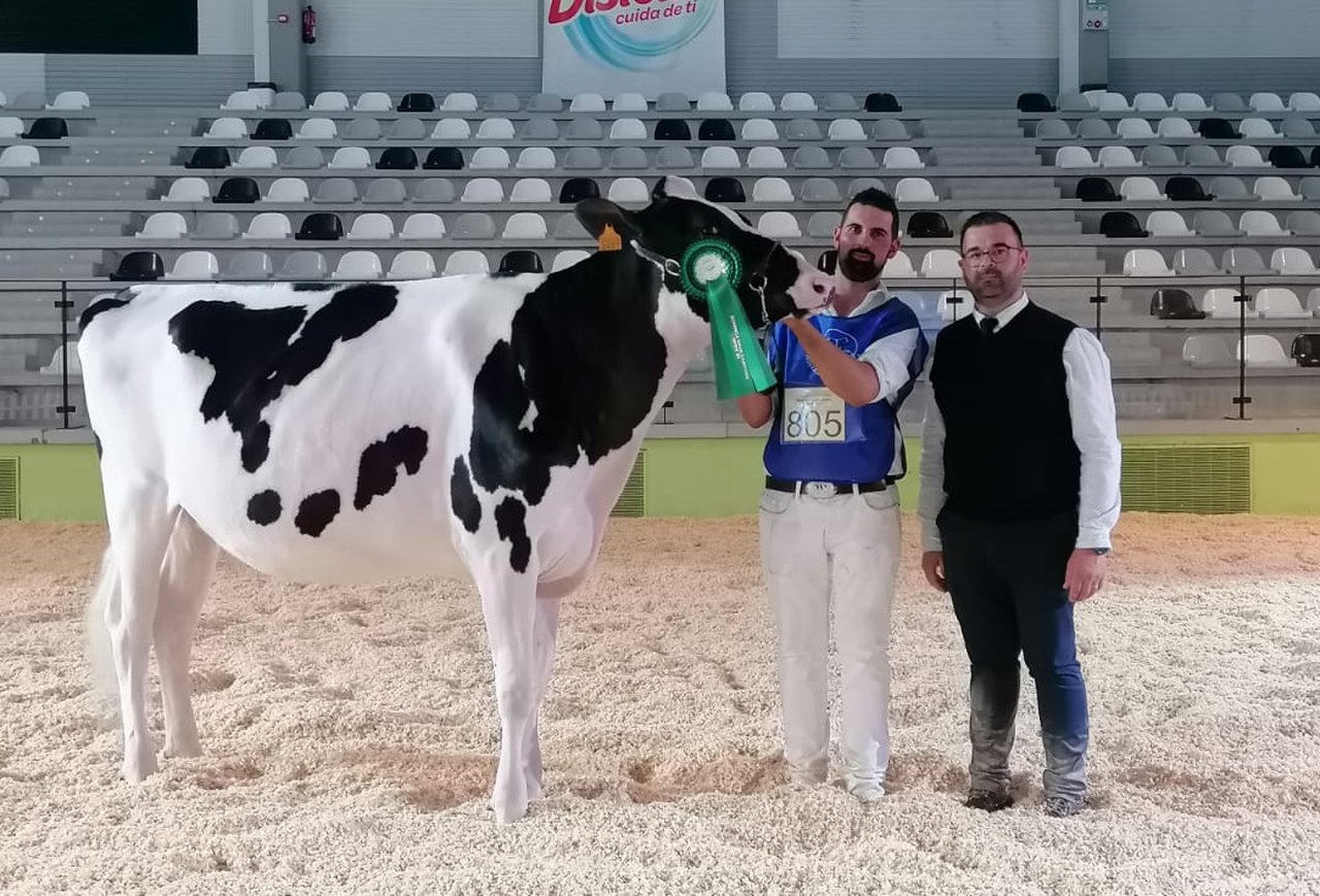 Rey 1085 Moovin Soly ET, nova xovenca gran campiona de Feiradeza