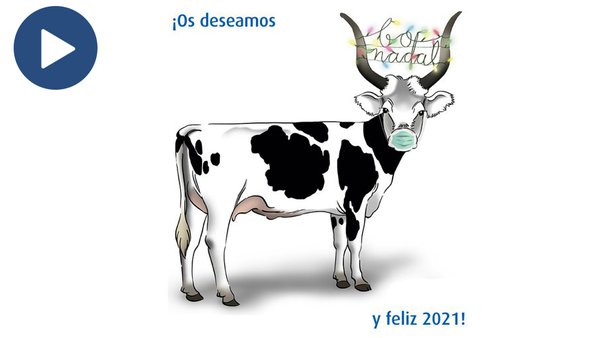 O equipo Transmedia deséxavos unhas boas festas!