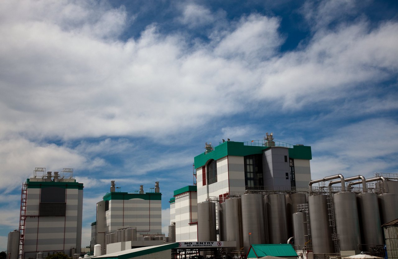 O cheddar remonta en Fonterra cunha subida do 7,2 %