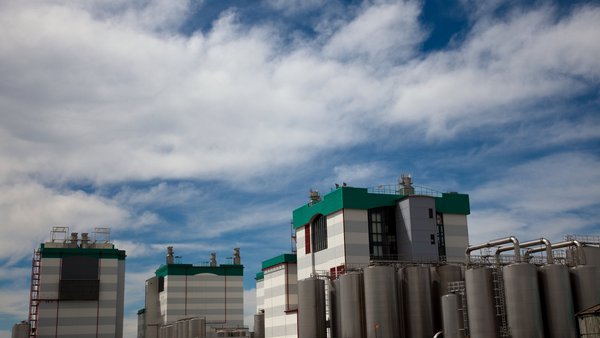 O cheddar remonta en Fonterra cunha subida do 7,2 %