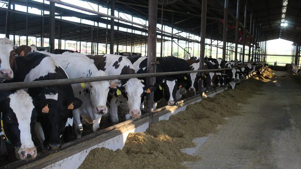 Se amplía el plazo de solicitud de las ayudas para la incorporación de jóvenes al agro y la creación de pequeñas explotaciones