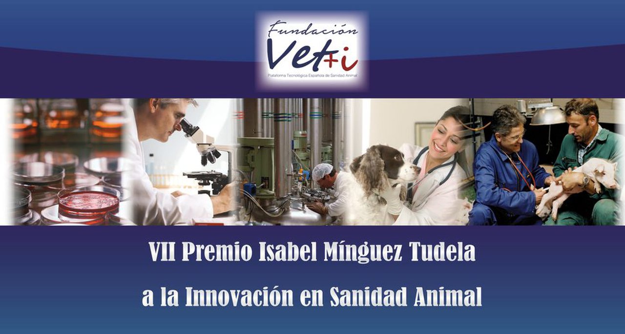 Aberto o prazo de presentación á séptima edición do Premio Isabel Mínguez Tudela