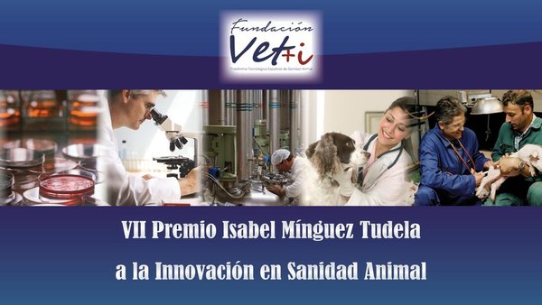 Aberto o prazo de presentación á séptima edición do Premio Isabel Mínguez Tudela