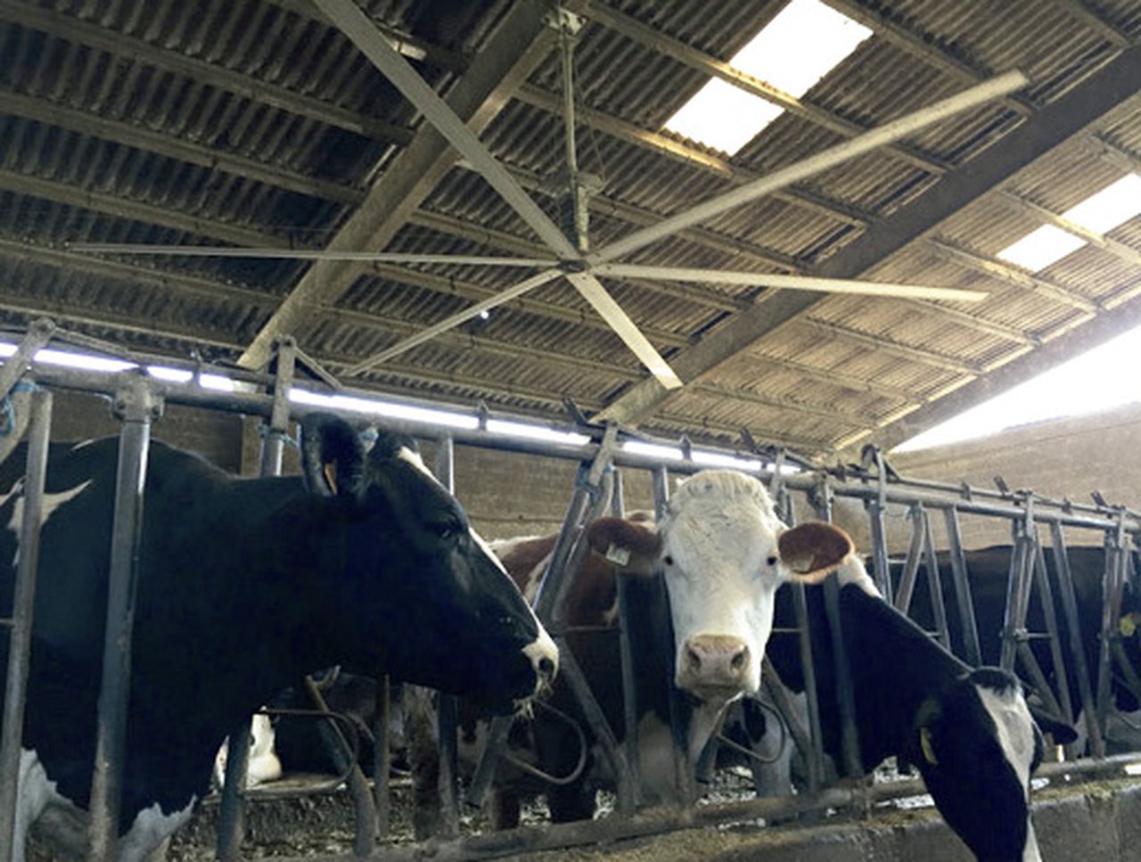 MaxXfan presenta los ventiladores HVLS