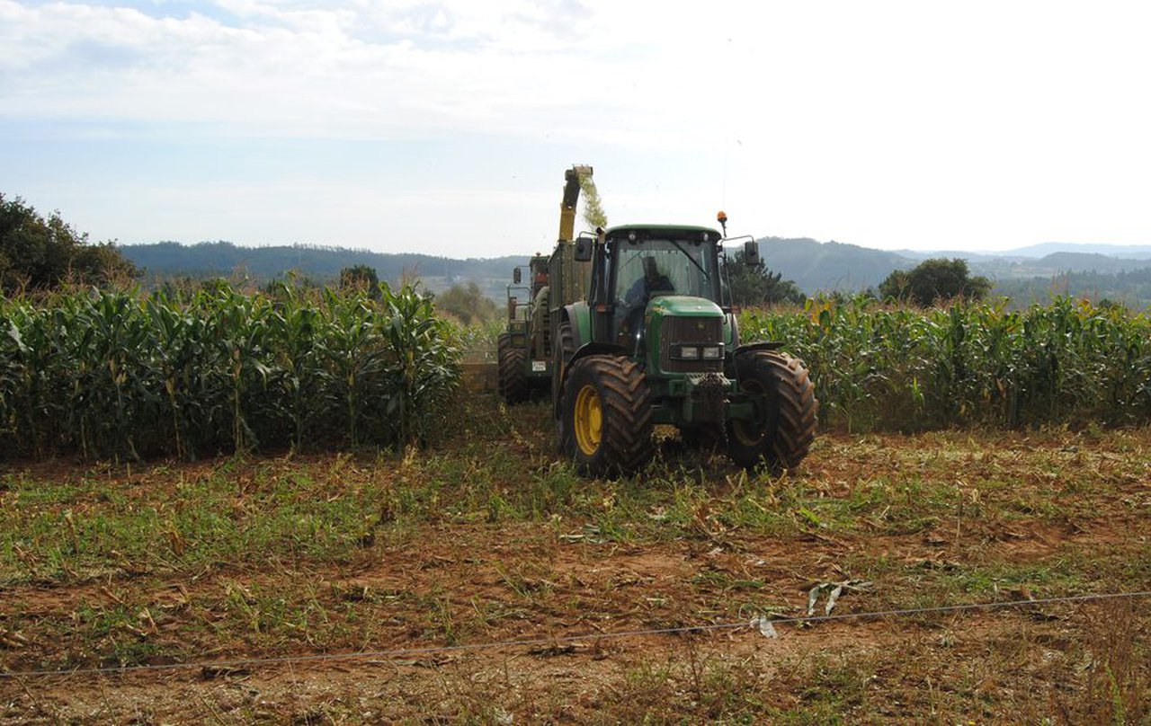 España baraja abrir el mercado de cereales a Estados Unidos y Argentina