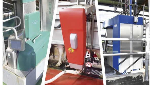 Robots de ordeño: influencia en la salud y en el bienestar de la vaca