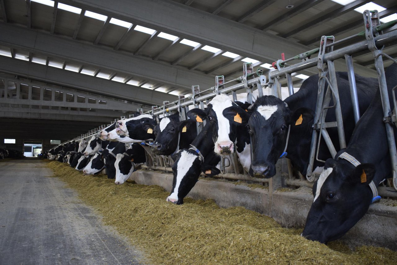 Convocadas en Galicia las ayudas para el fomento de la contratación de seguros agrarios