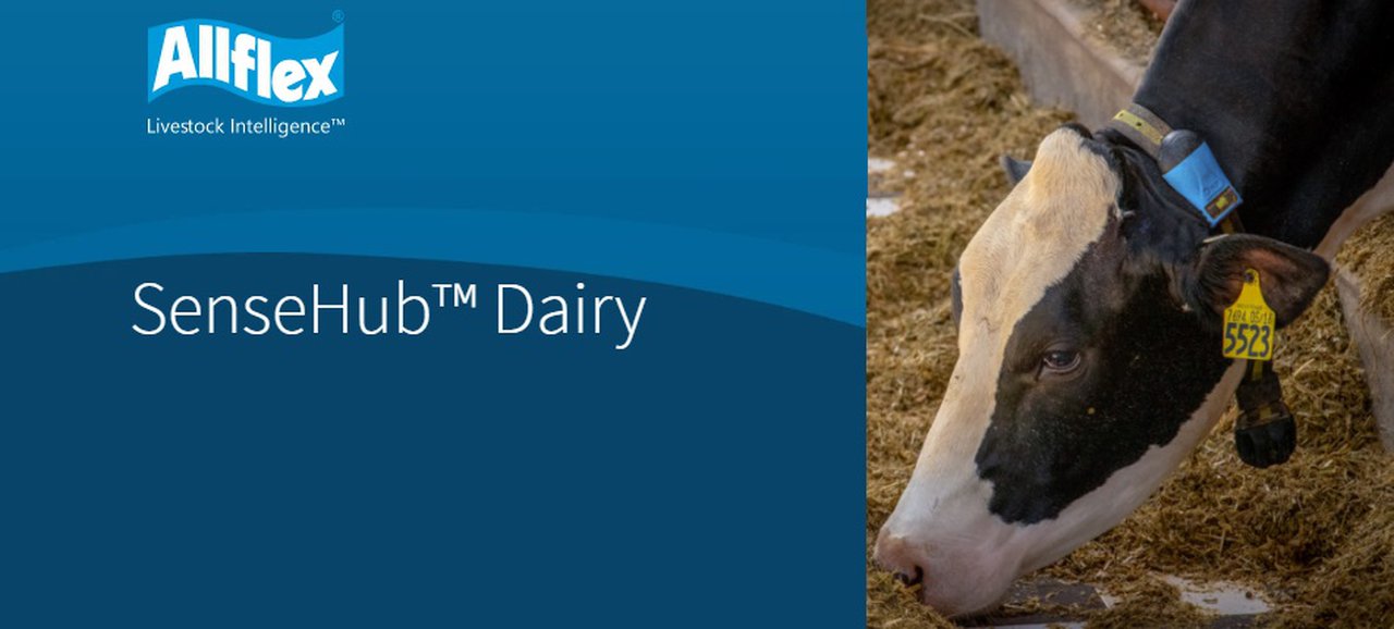 MSD Animal Health presenta a próxima xeración do software de monitorización SenseHub®