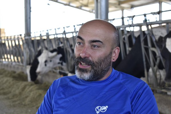 Noviercas, la bomba que arrasará todos los campos