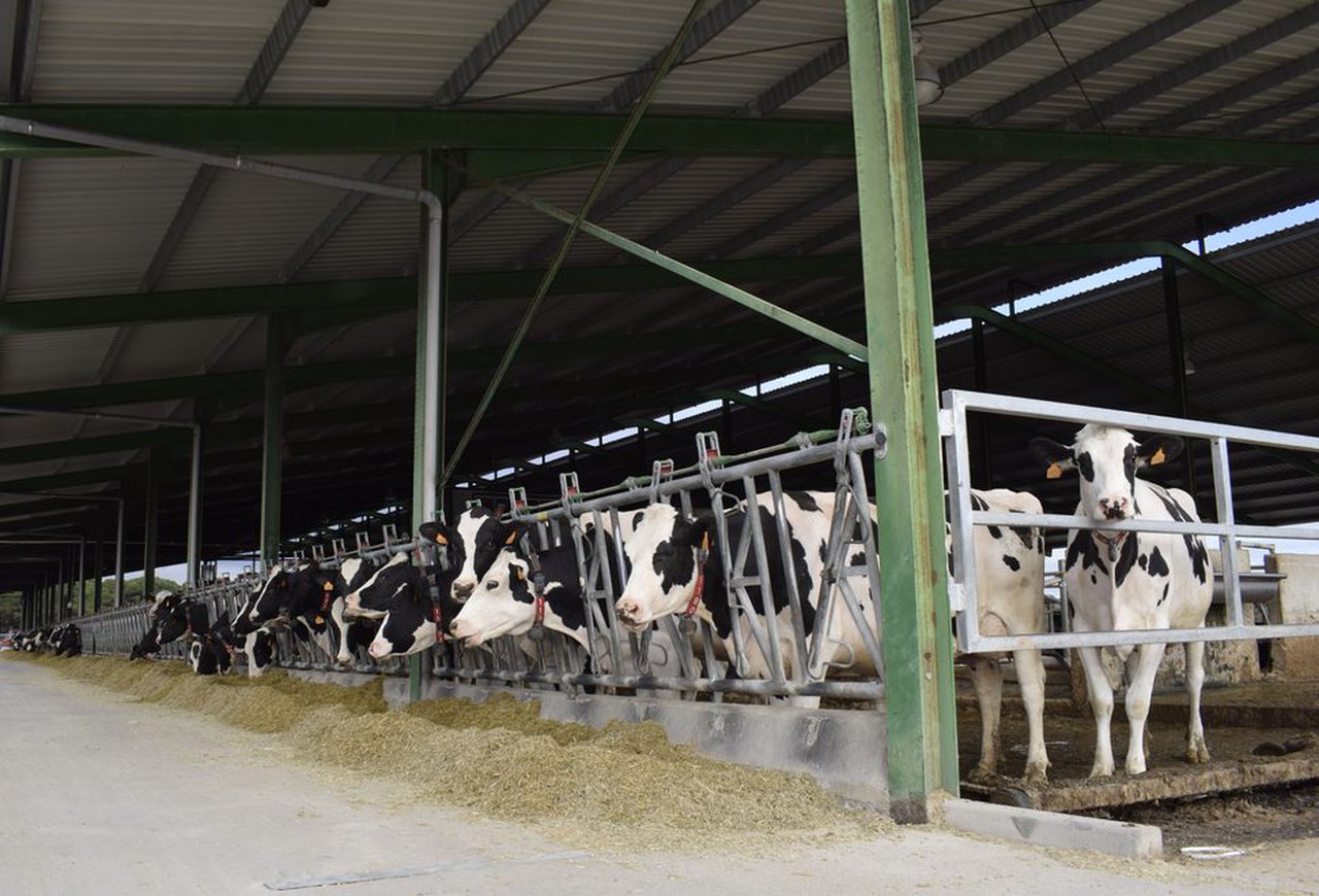 El MAPA destina 1,5 millones de euros a las ayudas para explotaciones agrarias de titularidad compartida