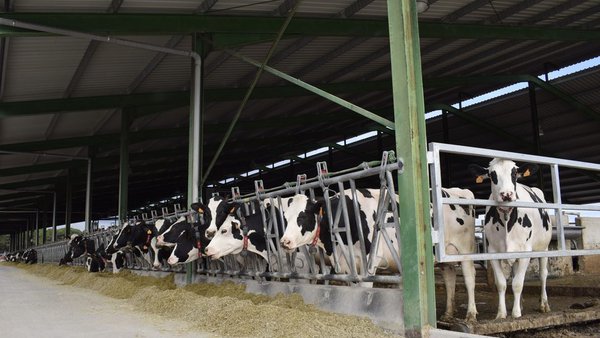 El MAPA destina 1,5 millones de euros a las ayudas para explotaciones agrarias de titularidad compartida