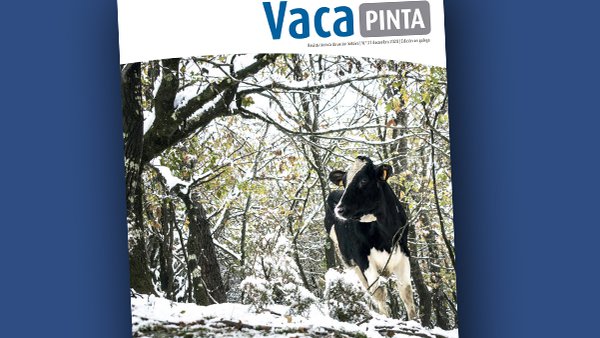 Vaca Pinta 21 chega á casa por Nadal
