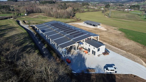 Agromuralla denuncia a pouca preocupación do Concello de Lugo polo mantamento da actividade agrogandeira do municipio