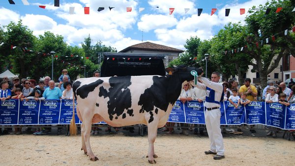 Garaia, hija de Doorman, gran campeona de Irún