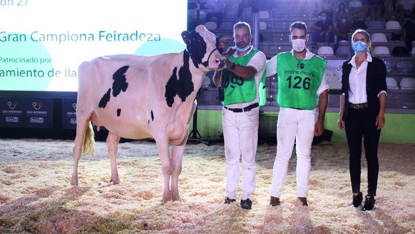 Vaca gran campeona de la XXXVI Feiradeza