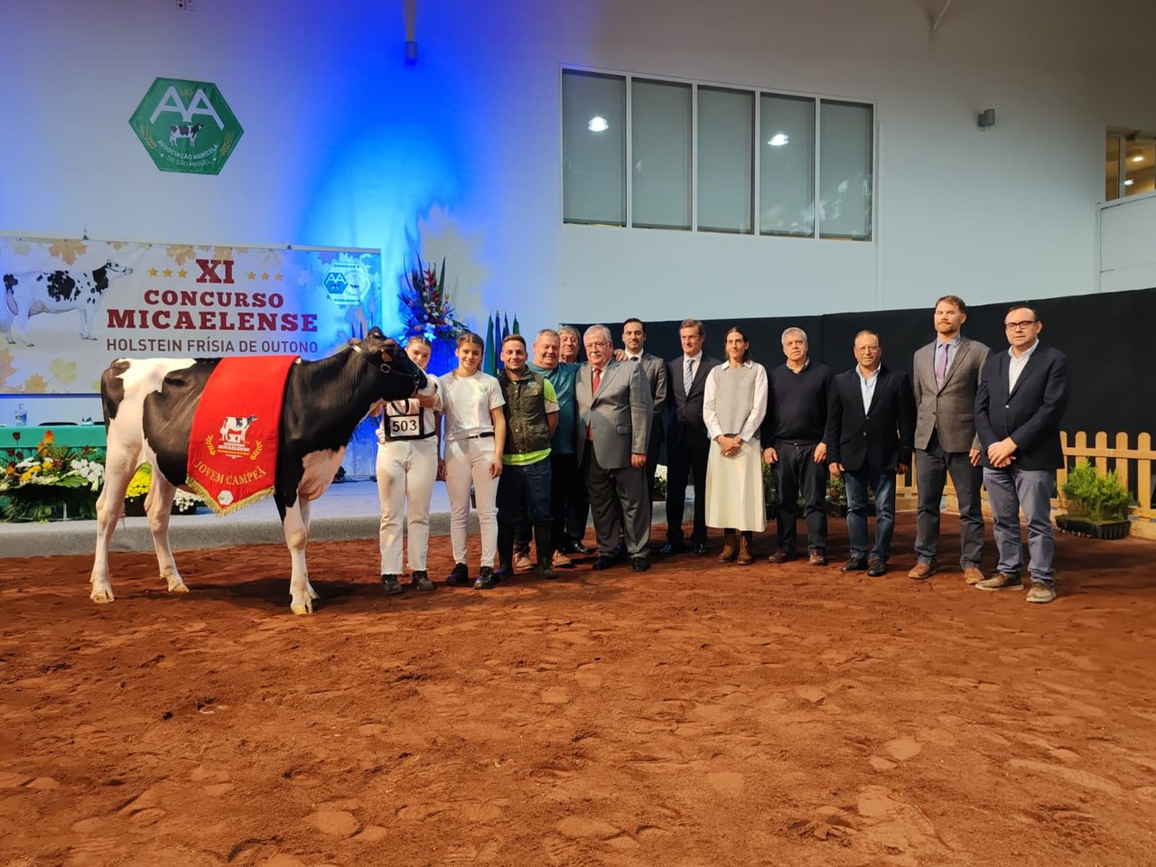 Miranda se alza con el título de novilla gran campeona en el XI Concurso Micaelense de Azores