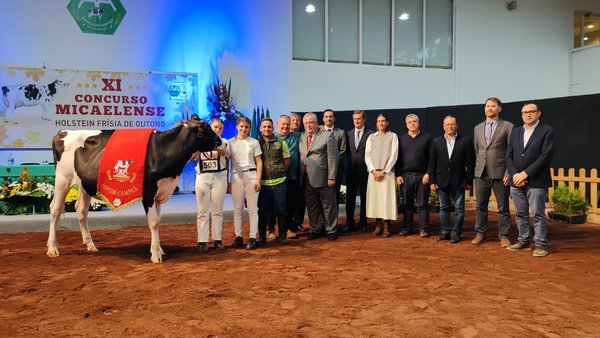Miranda se alza con el título de novilla gran campeona en el XI Concurso Micaelense de Azores