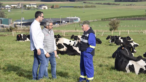 Smartamine® M, de Adisseo: maior produción de calidades e efecto positivo sobre a saúde das nosas vacas