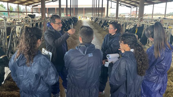 Éxito das sesións prácticas do curso Experto Universitario en Sanidade Bovina de Hipra